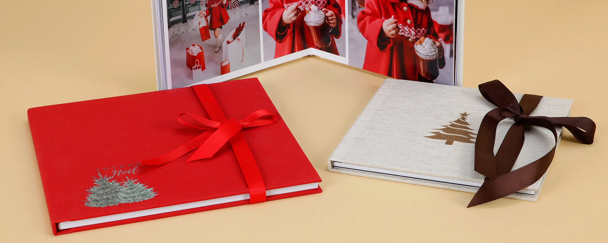 Eco Christmas Book