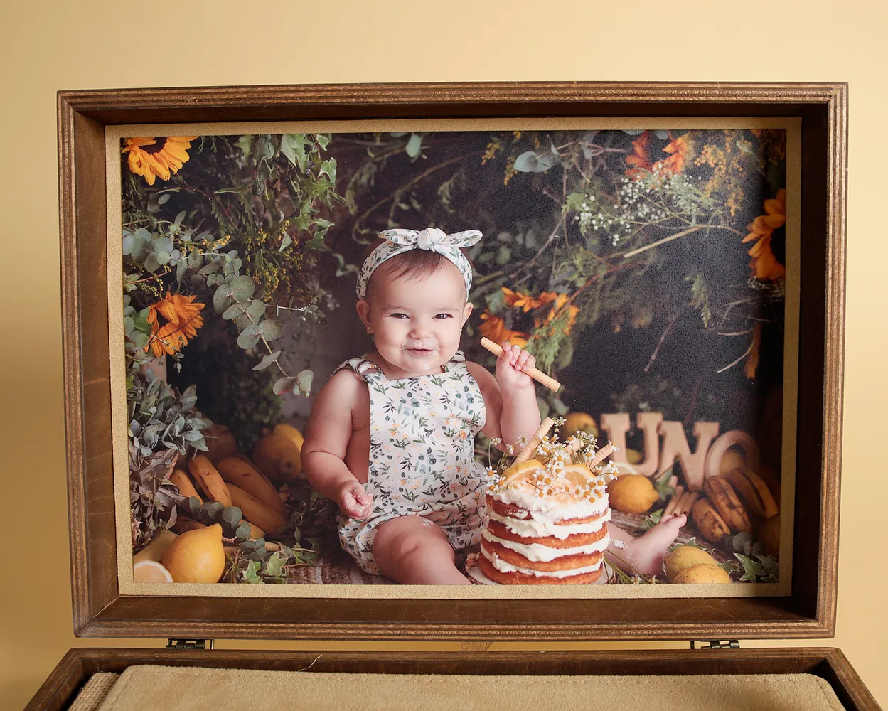 Colección Estudio 28