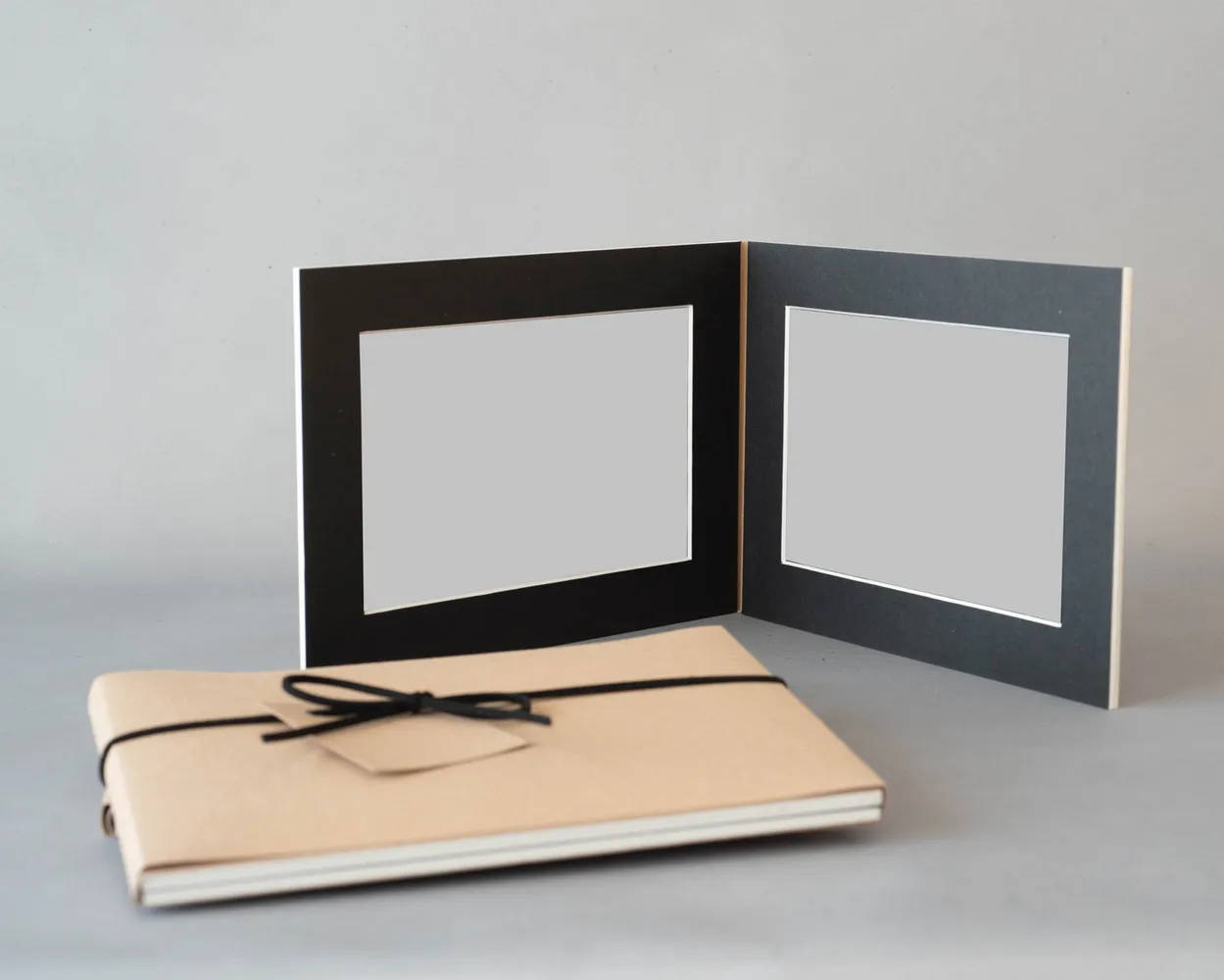 Dípticos Trípticos Cuadrípticos PP (Sin foto)