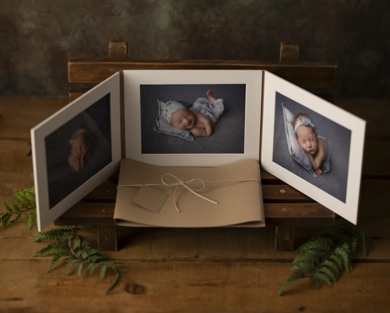 Dípticos Trípticos Cuadrípticos PP (Con foto)