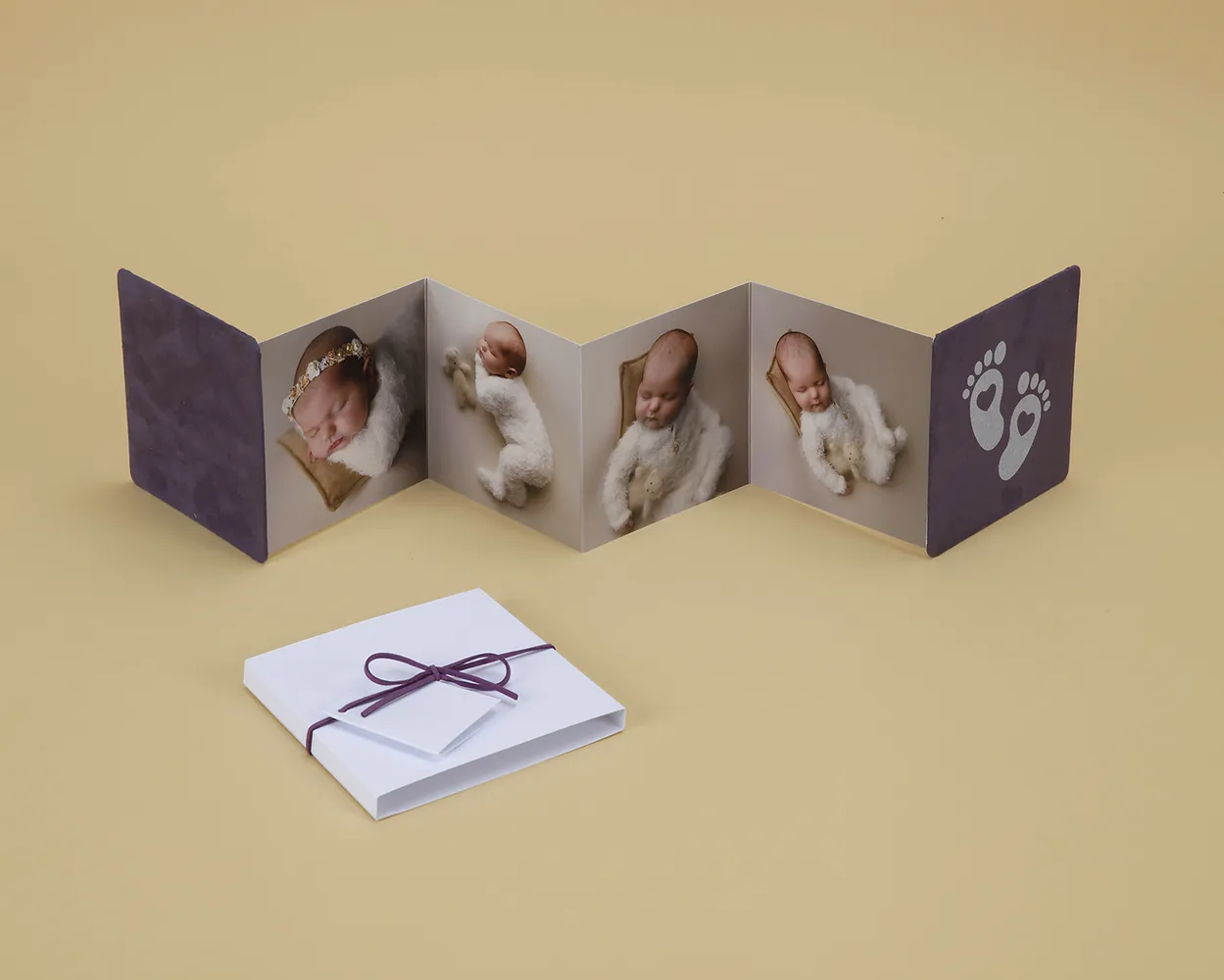 Acordeón fotográfico 