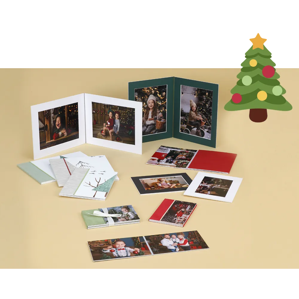 Accordeon Christmas passe-partout in pelle riciclata