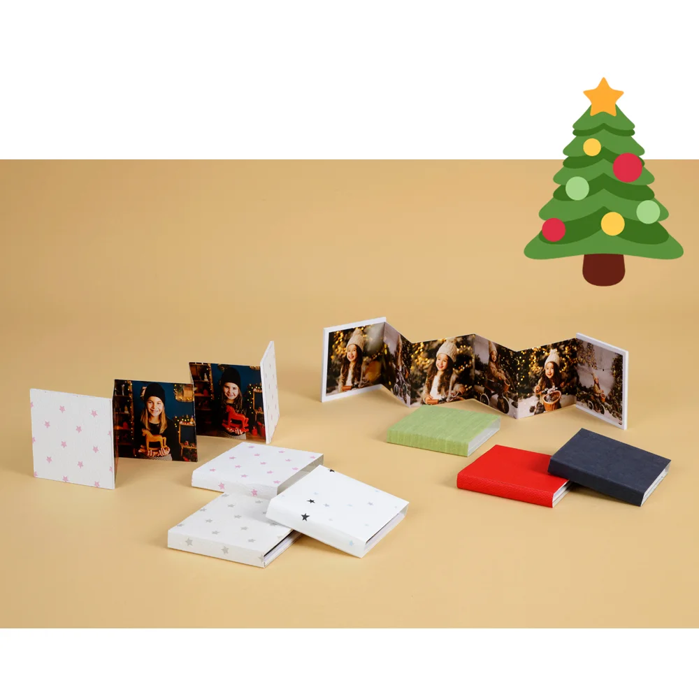 Christmas accordion photo